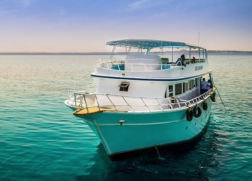 Things To Do Voyager Deep Sea Fishing & Dolphin Cruises