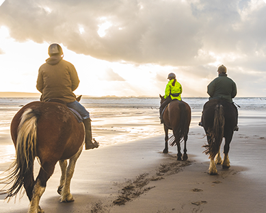 Things To Do Horseback Riding of Myrtle Beach